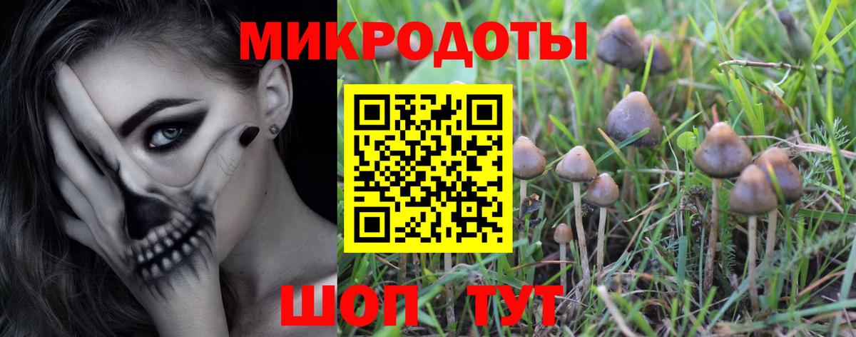Псилоцибиновые грибы MAGIC MUSHROOMS Донецк